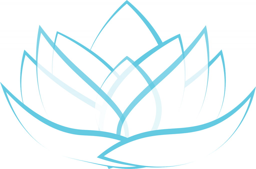 lotus, transparent, blossom-1889764.jpg